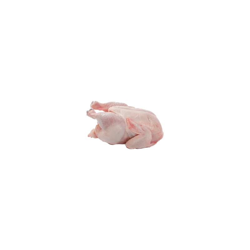 Chicken Meat