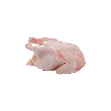 Chicken Meat
