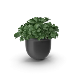 Cache-pot décoratif