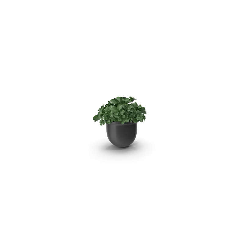 Cache-pot décoratif
