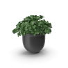 Cache-pot décoratif