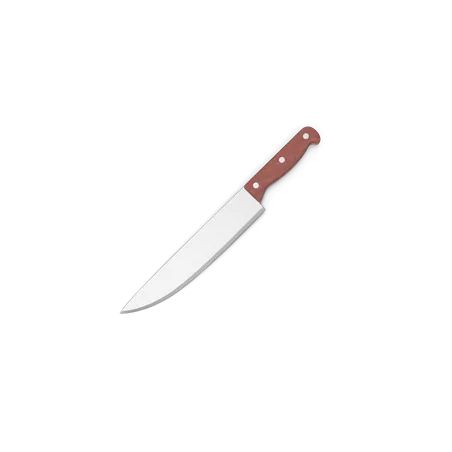 Couteau de cuisine
