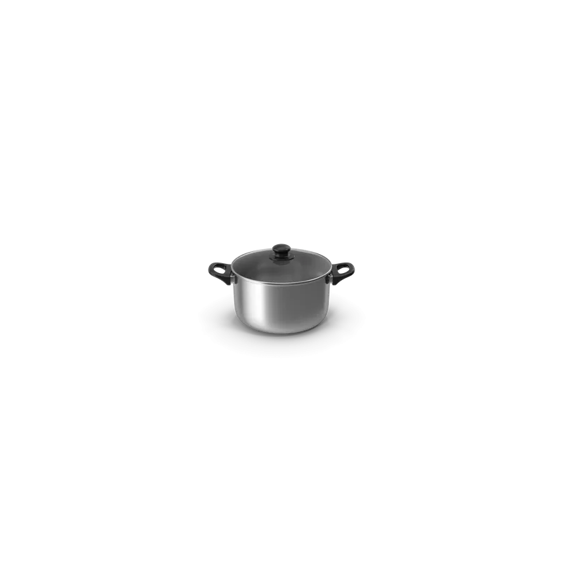 Silver Pot With Glass Cap
