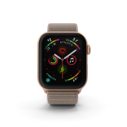 Apple Watch Series 4 Or
