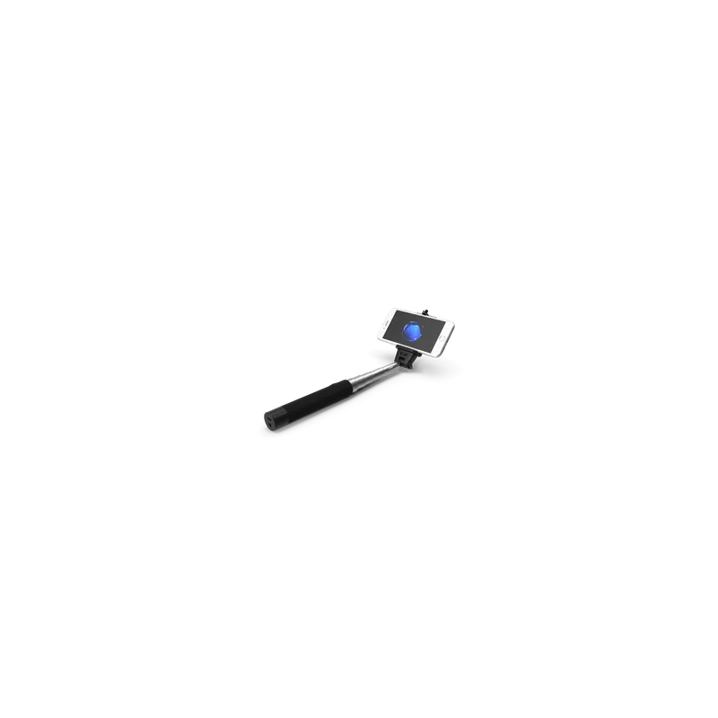 Perche à selfie monopode