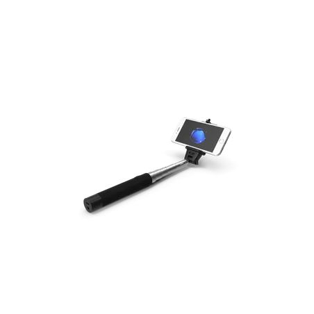 Perche à selfie monopode