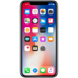 iPhone X