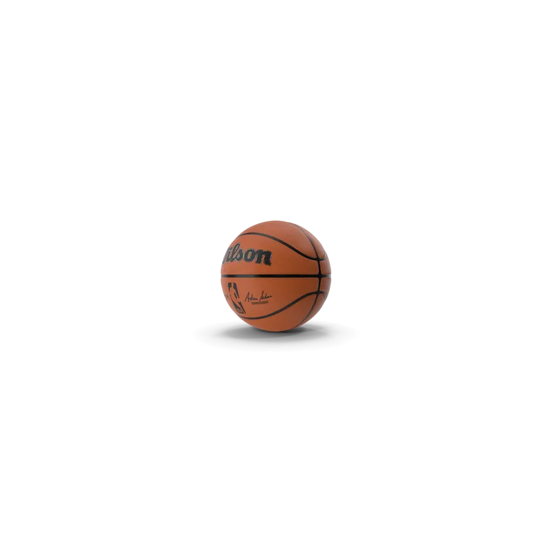 Ballon de basketball
