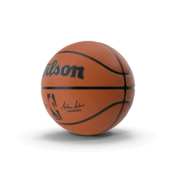Ballon de basketball
