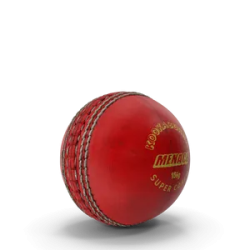 Balle de cricket