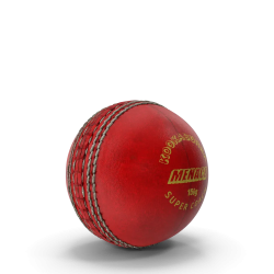 Cricket Ball