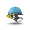 Cricket Helmet
