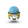 Cricket Helmet