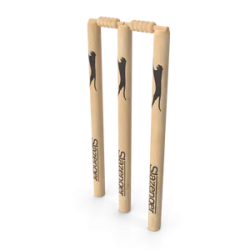 Guichet de cricket