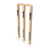 Guichet de cricket