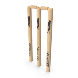 Cricket Wicket