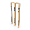 Cricket Wicket