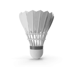 Volant de badminton en plumes