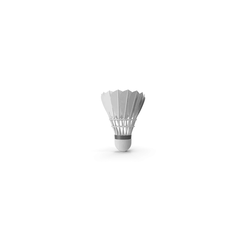 Feather Shuttlecock