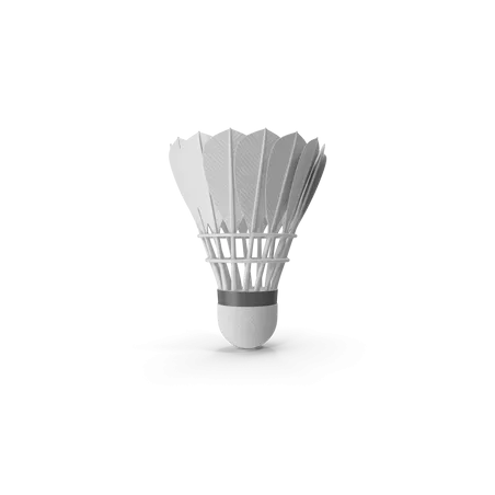 Feather Shuttlecock