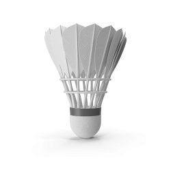 Volant de badminton en plumes