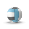 Ballon de volley-ball