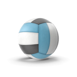 Ballon de volley-ball