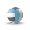 Ballon de volley-ball