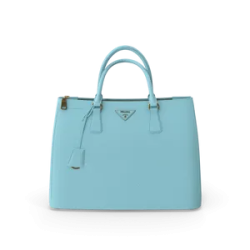 Sac Prada Femme