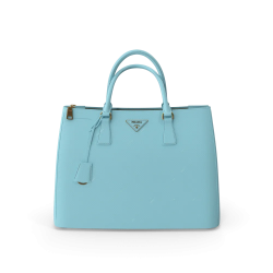 Sac Prada Femme