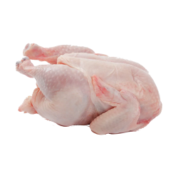 Chicken Meat V2