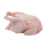 Chicken Meat V2