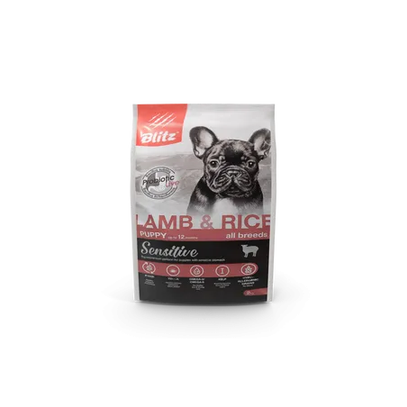 Dog Food V2