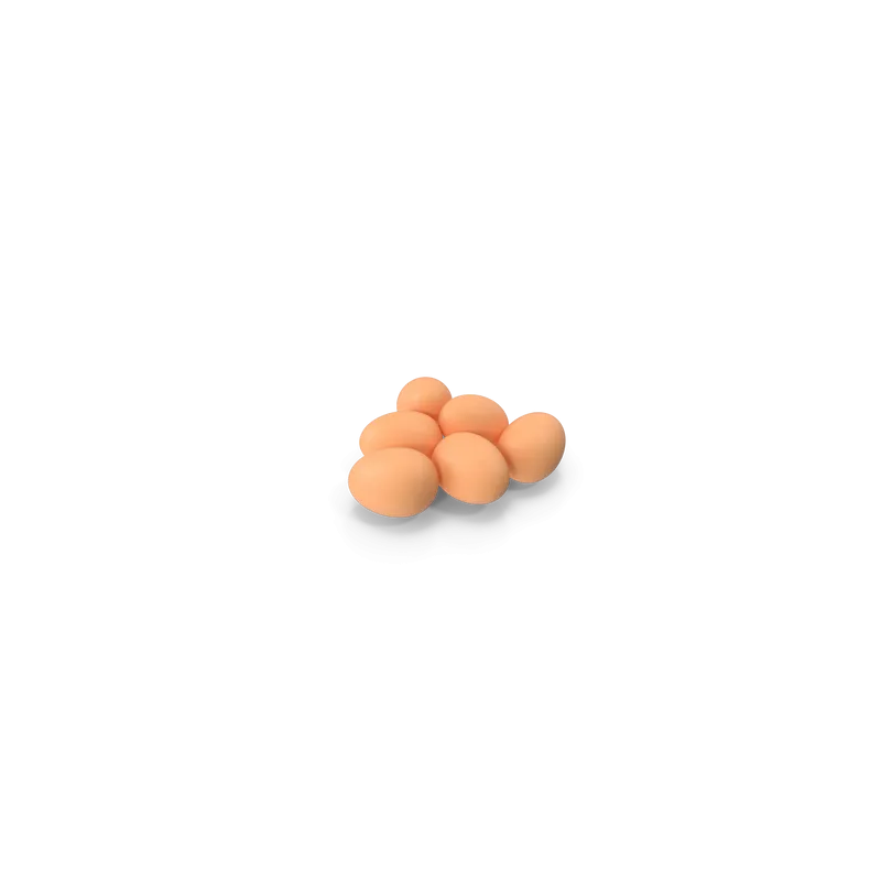 Œufs frais V2