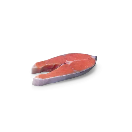 Pavé de poisson V2