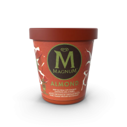 Ice Cream V2