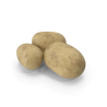 Pommes de terre V2