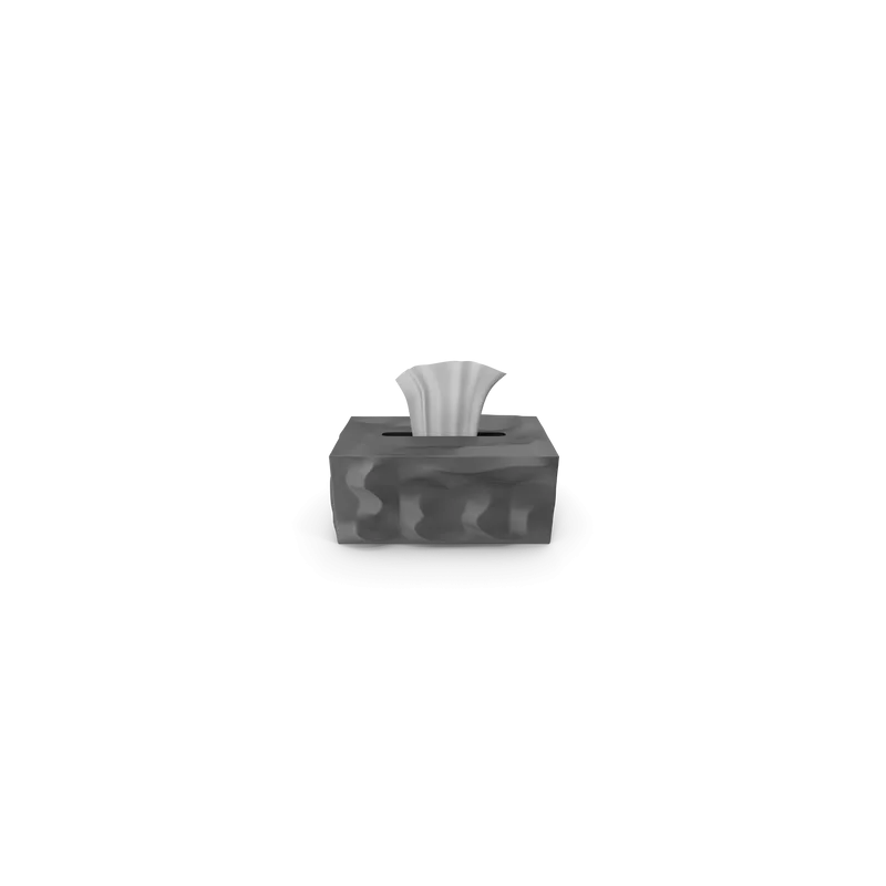 Boîte de mouchoirs V2