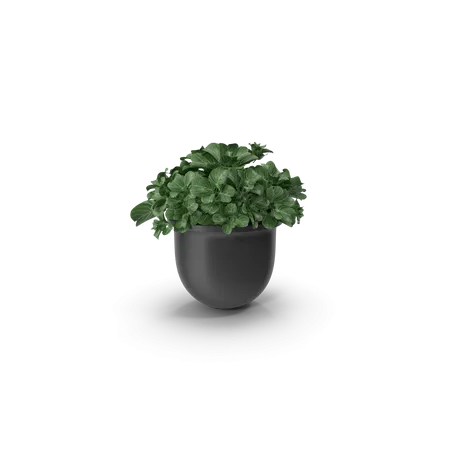 Cache-pot décoratif V2