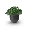 Cache-pot décoratif V2